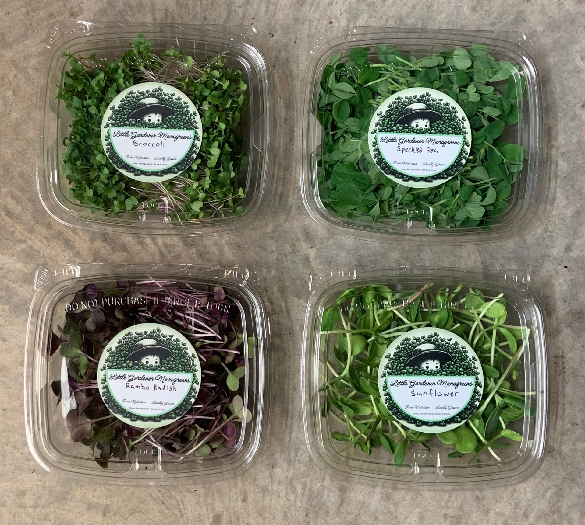 Four containers of fresh microgreens on a wooden table